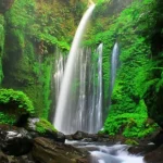 7 Keindahan Air Terjun di Pulau Lombok yang Harus Anda Kunjungi